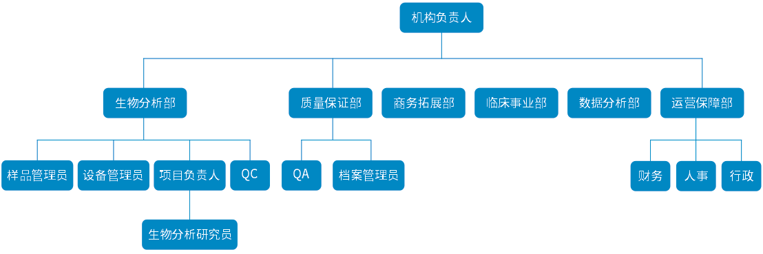 組織結(jié)構(gòu)2